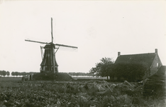 3185 De molen (1830) te Sasput / L. van Lambalgen. [c. 1935]. 1 foto ; 9 x 14 cm, 1935 c.]
