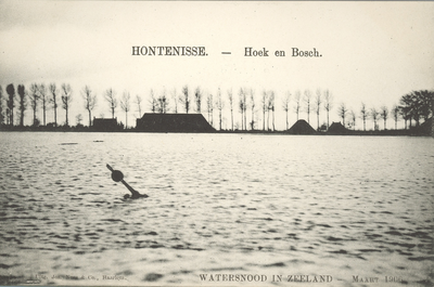 377-64 Watersnood in Zeeland - Maart 1906.. Gezicht op het overstroomde gebied van Hoek en Bosch bij Hontenisse