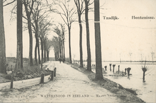 377-84 Watersnood in Zeeland - Maart 1906.. Gezicht op de Tasdijk en overstroomde omgeving te Hontenisse