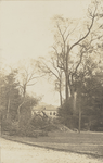 398-31 Schade aan bomen op het landgoed Zeeduin te Oostkapelle met op de achtergrond het huis