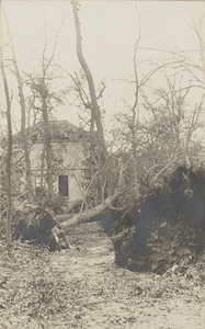 398-33 Schade aan bomen op het landgoed Berkenbosch te Oostkapelle met op de achtergrond het huis