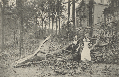 398-8 Vrouwen in klederdracht bij omgevallen bomen op het Noordbolwerk te Middelburg