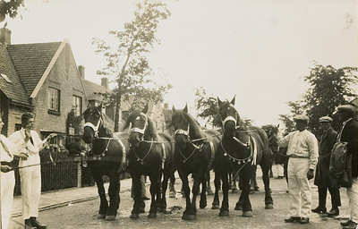 426-10 Paarden en hun begeleiders voor de parade van Zeeuwse boerenrijtuigen te Goes