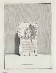 442-9 Afbeeldingen van de, op den 5 Januarij 1647 en later, bij Domburg ontdekte gedenksteenen, tusschen de jaren 1737 ...