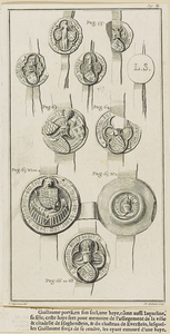 701 Drie zegels en een contrazegel van Willem V, graaf van Holland, en een een zegel van Nicolaes van der Werve. Met ...