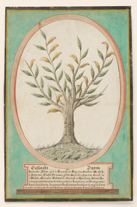 975 Geslachtsboom van Kornelis Blom (1734-1805) en Lijntje Braams (1736-1800) te Sint Maartensdijk.