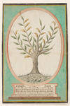 975 Geslachtsboom van Kornelis Blom (1734-1805) en Lijntje Braams (1736-1800) te Sint Maartensdijk.