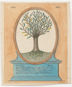 977 Geslachtsboom van Benjamin Willem Schot (1840-) en Maria Mathea Bolier (1840-1909), 1840-1925 te Tholen