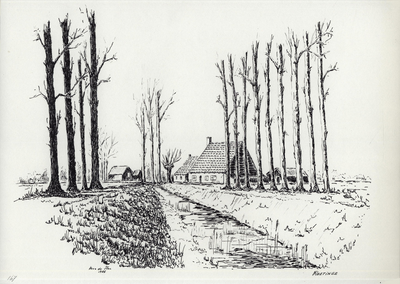 964-167 Een boerderij te Kloetinge.