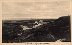 10268 In de Duinen bij Westen-Schouwen. Gezicht in de duinen bij Westenschouwen met vakantiehuizen