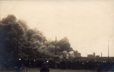 10575 De brand van het complex van de Nederlandse Petroleum- en Asphaltmaatschappij Nedpam te Vlissingen met veel publiek