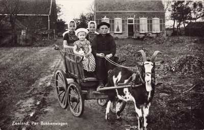 10885 Zeeland, Per Bokkenwagen. Kinderen (in klederdracht) maken een ritje met de bokkenwagen bij een boerderij op Walcheren