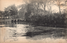 11341 Een aan de Grachtweg te water geraakt paard tijdens het Koninklijk bezoek aan Zierikzee