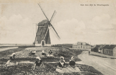 1295 Aan den dijk te Westkapelle. Bloemen plukkende meisjes in klederdracht voor de molen Prins Hendrik op de Zeedijk ...