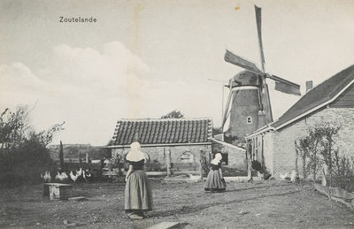 1412 Zoutelande. Twee kippen voerende meisjes bij de molen van Zoutelande