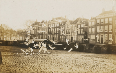 1703 Vogels bij de kademuur aan de Dam te Middelburg, met gezicht op de Dam Zuidzijde