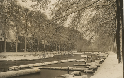 1926 Gezicht op een besneeuwde Herengracht te Middelburg met boomstammen in het water