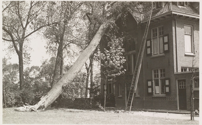 2316 Een op het dak van een villa gevallen boom op het Noordbolwerk te Middelburg, tegenover het Gasthuis