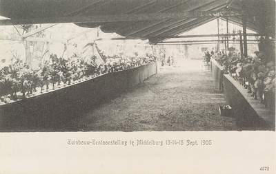 3680 Tuinbouw-Tentoonstelling te Middelburg 13-14-15 Sept. 1905. De tuinbouwtentoonstelling te Middelburg