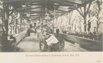 3683 Tuinbouw-Tentoonstelling te Middelburg 13-14-15 Sept. 1905. De tuinbouwtentoonstelling te Middelburg