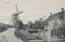 454 Grijpskerke. Gezicht op de molen te Grijpskerke