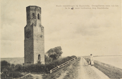 6415 Mooie wandelwegen bij Haamstede. Overgebleven toren van het in de 16e eeuw verdronken dorp Koudekerke. De ...