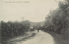 6662 Weg naar de Duinen bij Renesse. Een weg in het duingebied in Renesse