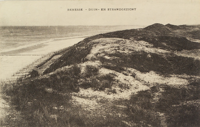 6666 Renesse - Duin- en Strandgezicht. Gezicht op het strand en de duinen van Renesse