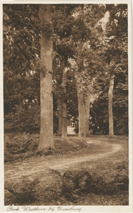 701 Park Westhove bij Domburg. Bomen in het park van kasteel Westhove bij Oostkapelle