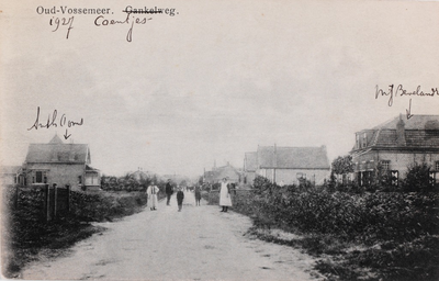 7310 Oud-Vossemeer. Gankelweg. Gezicht op de Coentjesweg in Oud-Vossemeer, met de huizen van Anth. Ooms (links) en M.J. ...