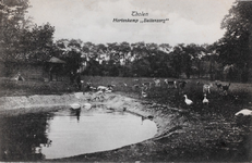 7443 Tholen Hertenkamp Buitenzorg . Gezicht op de hertenkamp van het landhuis Buitenzorg (voorheen Ostrea) in Tholen, ...