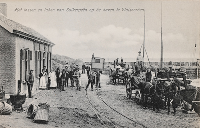 7944 Het lossen en laden van Suikerpeën op de haven te Walsoorden. Gezicht op het laden van suikerbieten in de haven te ...