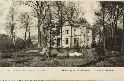 8098 Buitengoed Bloemendaal. Aardenburg. Gezicht op de buitenplaats Bloemendaal (afgebroken in 1910) op de oude ...