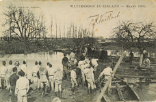 8895 Watersnood in Zeeland - Maart 1906. In de omgeving van Hontenisse is een aantal militairen bezig met het aanleggen ...