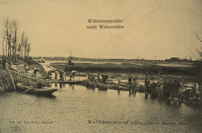 8899 Wilhelmuspolder nabij Walsoorden. Watersnood in Zeeland Maart 1906. De overstroomde Wilhelmuspolder bij Walsoorden ...