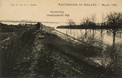 8902 Versterking Oudenlandsche dijk. Watersnood in Zeeland - Maart 1906. Het versterken van de Oudelandsedijk in de ...