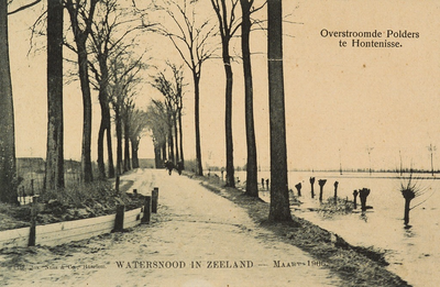 8920 Overstroomde Polders te Hontenisse. Watersnood in Zeeland - Maart 1906. Gezicht op de overstromingen in de buurt ...