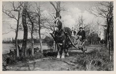 9280 Zeeland: Walcheren. Uitrijden. Een echtpaar in Walcherse dracht op een boerenwagen