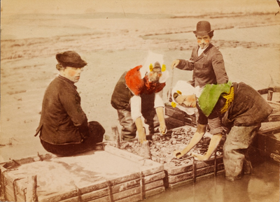 9505 Twee vrouwen in protestantse, Zuid-Bevelandse dracht en lieslaarzen zijn bezig met het sorteren van oesters in de ...