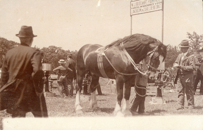 244-7 Een paardenkeuring tijdens een landbouwtentoonstelling