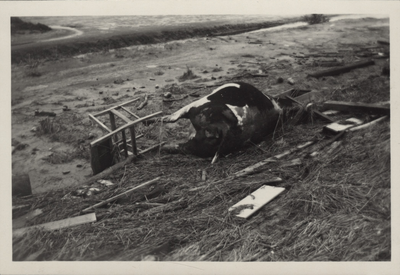 306-21 Kadaver van een koe en huisraad, vermoedelijk in de omgeving van Oostdijk