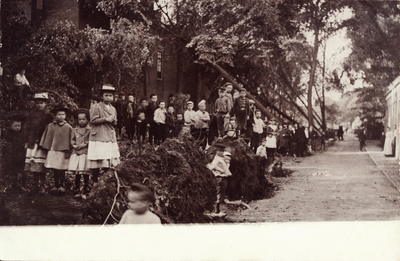 320-214 Kinderen bij ontwortelde bomen na de storm van 11 september 1903 op Klein Vlaanderen te Middelburg