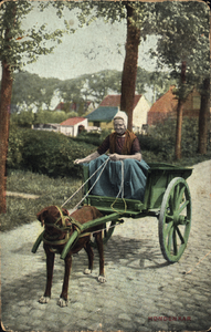 320-284 Een vrouw in Walcherse dracht op een hondenkar