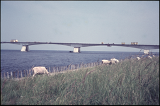 321-156 Bouw van de Zeelandbrug over de Oosterschelde :