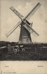 341-118 Molen Domburg. De molen te Domburg