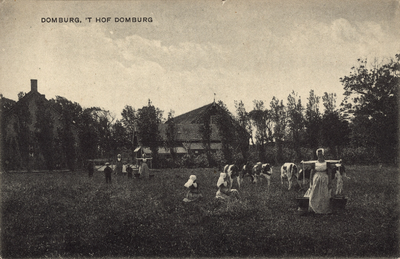 341-204 Domburg, 't Hof Domburg. Vrouwen en kinderen in dracht, in een weiland op 't Hof Domburg