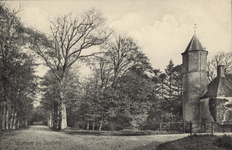 341-923 Westhove bij Domburg. Gezicht op een bomenlaan ter hoogte van kasteel Westhove bij Oostkapelle