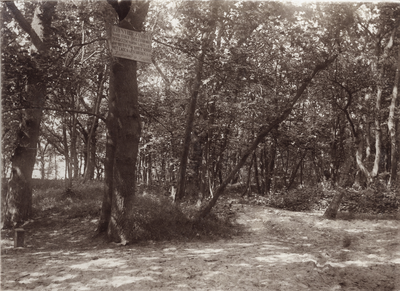 425-19 Manteling. Bomen in de bossen in de Manteling bij Domburg, met een bord van de tuinman van Duinbeek over het ...