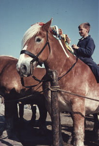 435-48 Een jongen op een paard tijdens het ringrijden te Zoutelande