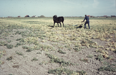 435-53 Een boer achter de ploeg met een paard in de omgeving van Zoutelande